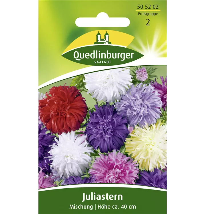ca Sommeraster Princess Mischung 50 Samen Schnitt  Blumen Stauden Sämereien 
