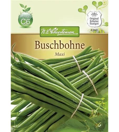 Buschbohnensamen 'Maxi'