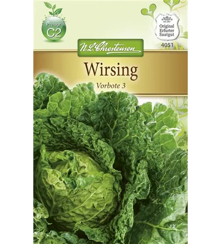 Wirsingkohlsamen 'Typ Vorbote'