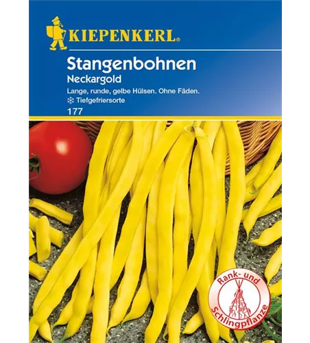 Stangen-Bohne 'Neckargold'