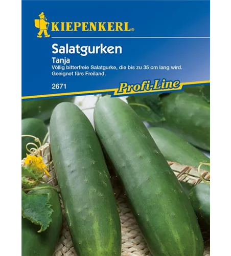 Gurke 'Tanja'