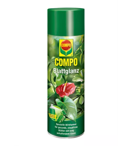 Compo Blattglanz 