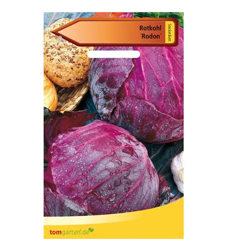 Rotkohl 'Rodon'