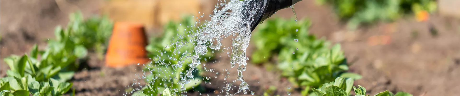 2020-8-12.8-32.GS660133_