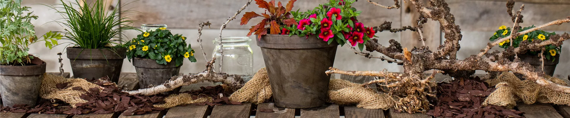 2020-7-7.10-31.GS663086_