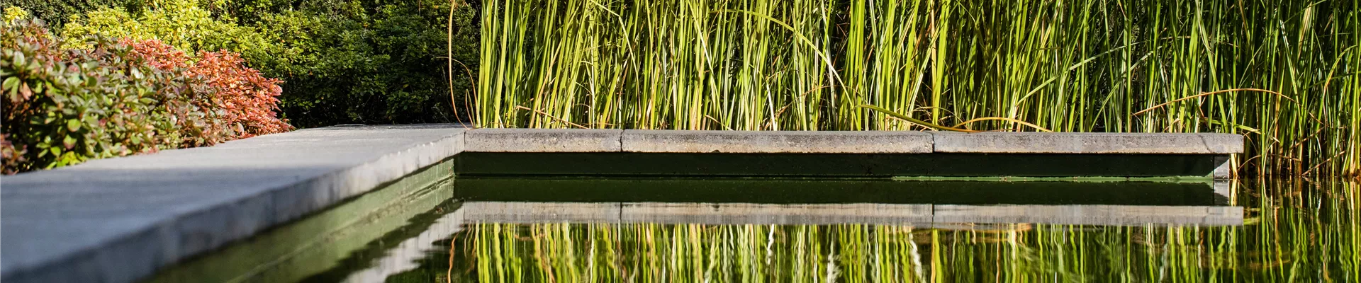 2020-7-7.14-25.GS636275_