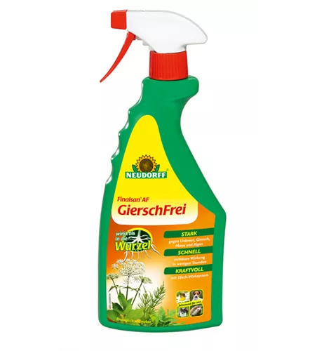 Finalsan AF GierschFrei