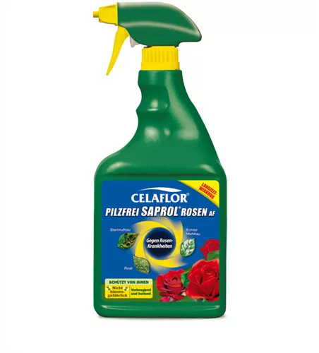 Celaflor Pilzfrei Saprol Rosen AF