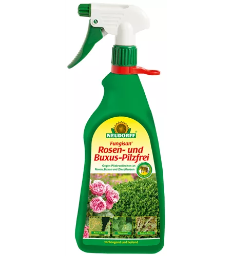 Fungisan Rosen- und Buxus-Pilzfrei AF