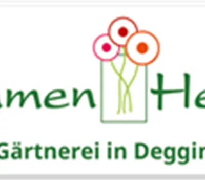 Blumat-Bewässerungsautomat 3er-Satz