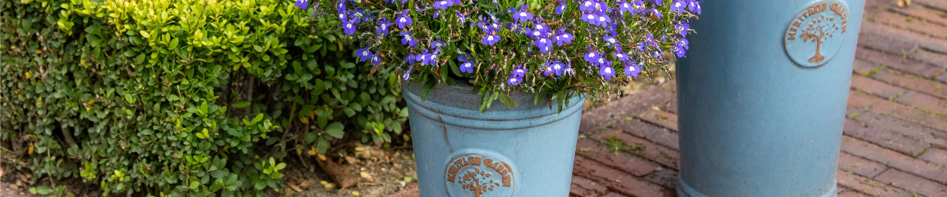 Sommergarten - Topfbepflanzung