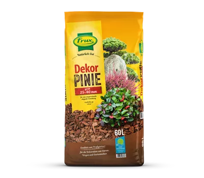 frux Dekorpinie grob 25 – 40 mm